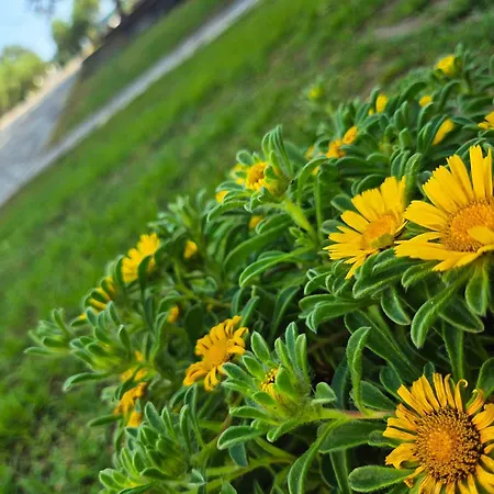 Geovilla Green&blue 2 -