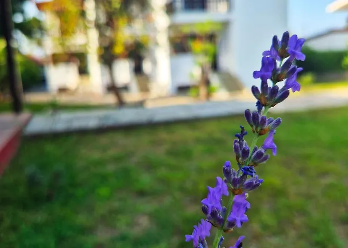 Villa Geovilla & Blue 2 - Pefkohóri